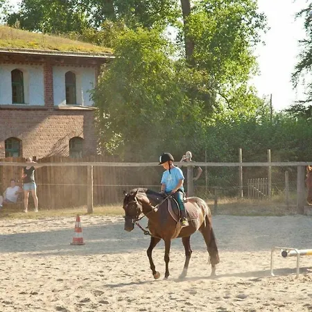 Ferienwohnungen-am-schloss-wohnung-4-der-hund * Behren-Lubchin